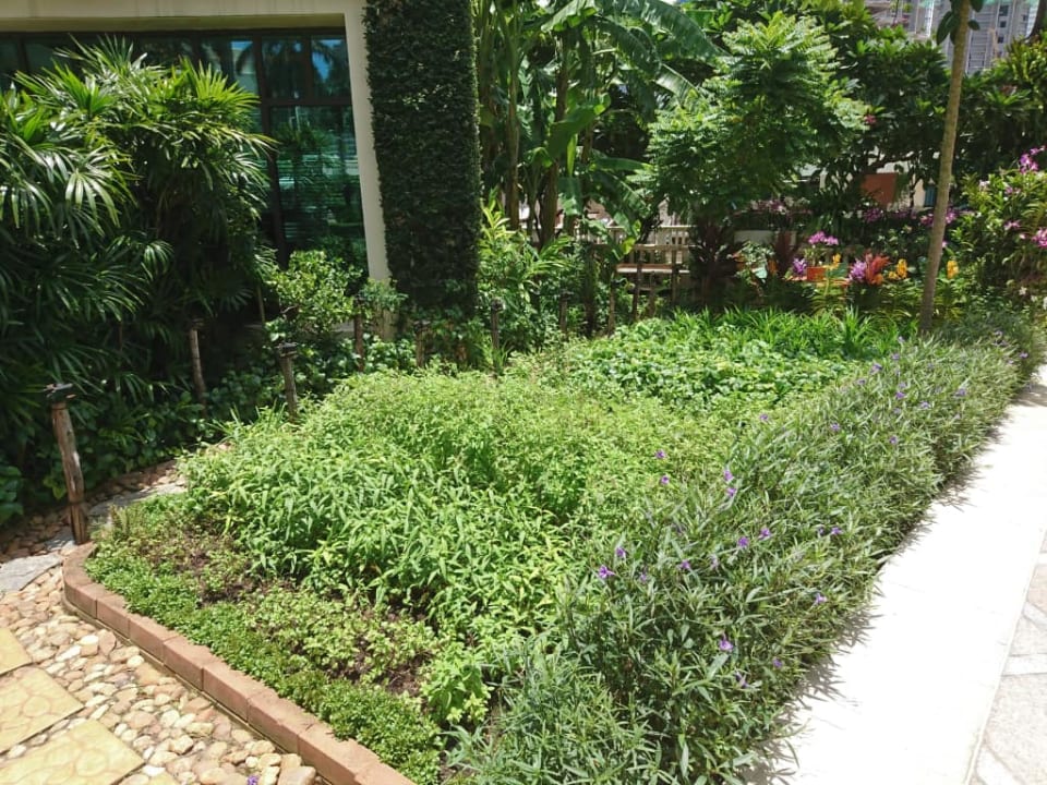 Peninsula Hotel The Peninsula Bangkok