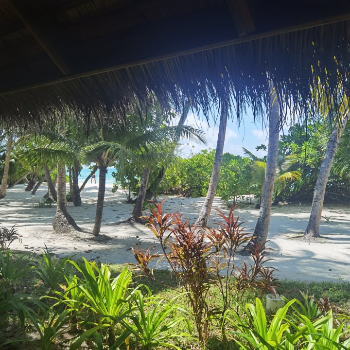 Ausblick Kuramathi Maldives