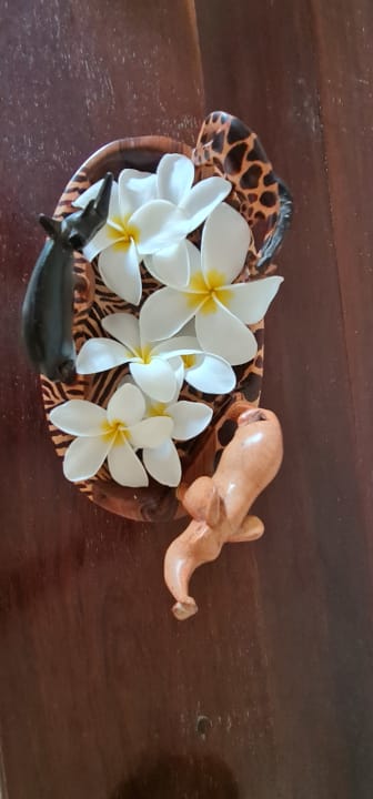 Sonstiges Neptune Paradise Beach Resort & Spa