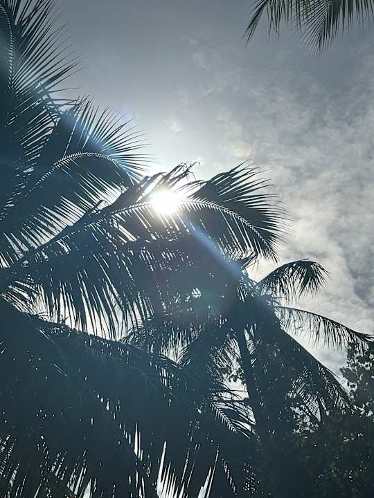 Ausblick Meeru Maldives Resort Island