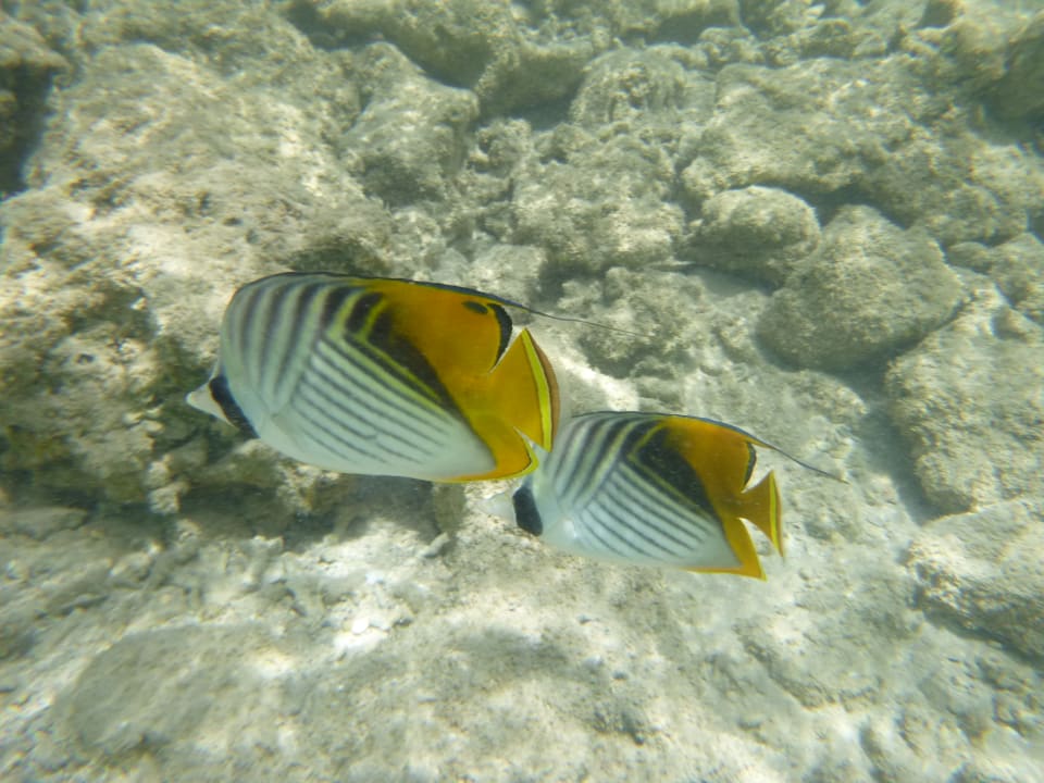 Strand Tamra Beach Resort