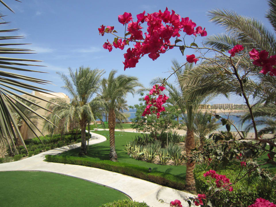 Blick vom Zimmer (geb. 17) Steigenberger Coraya Beach - Adults only