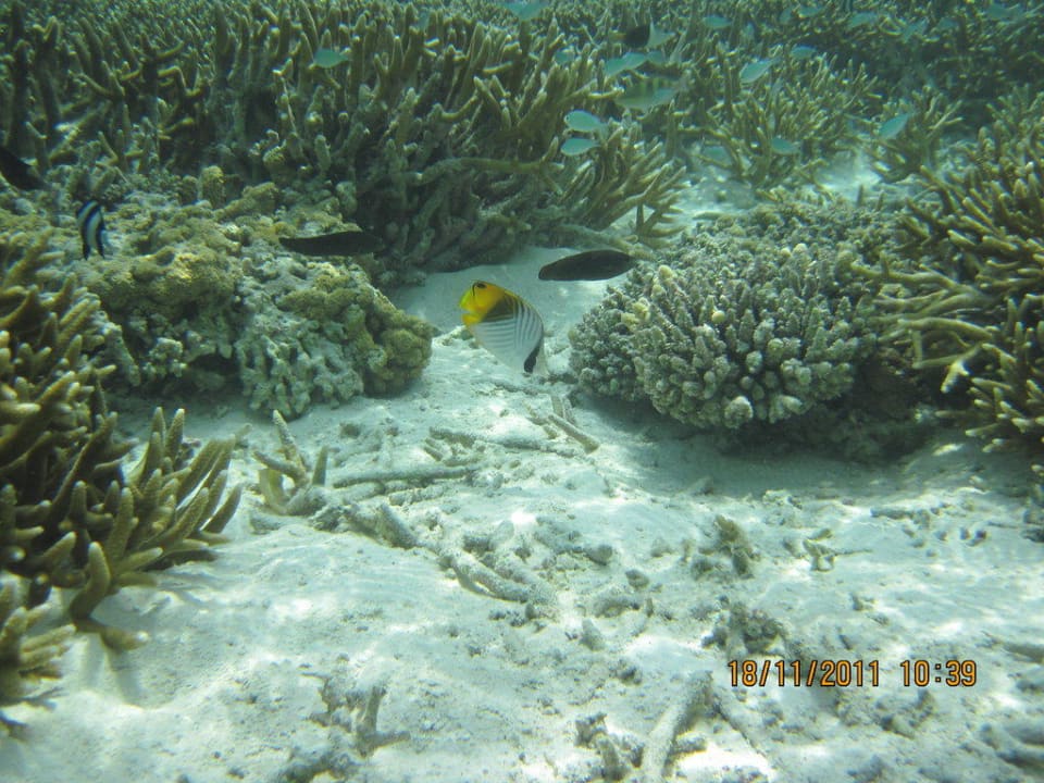 Океан Adaaran Select Hudhuran Fushi - Premium All Inclusive