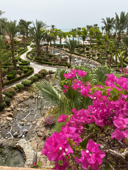 Ausblick Mövenpick Resort & Spa El Gouna