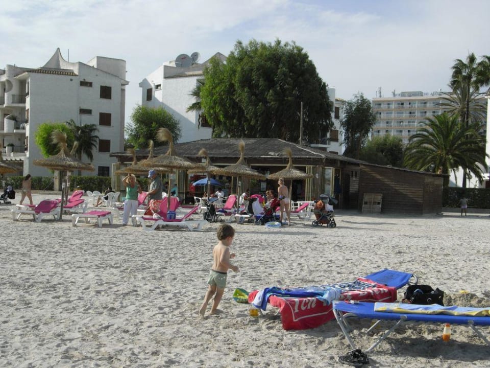 Strand mit Strandbar im Hintergrund Alcudia Garden Aparthotel