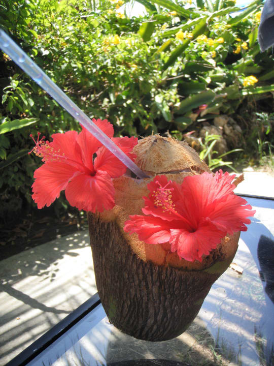 Frische Kokosmilch von John Bahari Beach Hotel