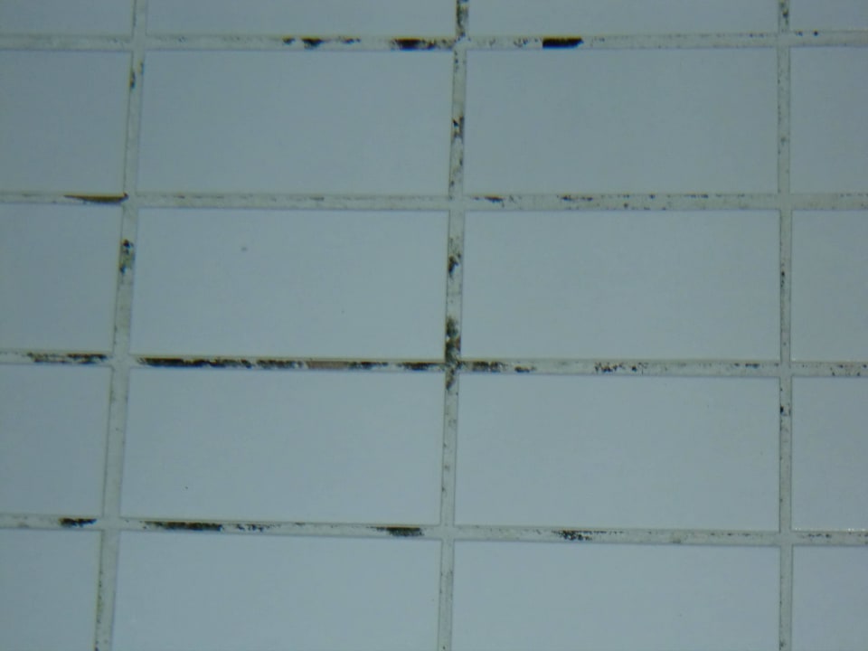 Bild Seehotel Waltershof im Malerwinkel