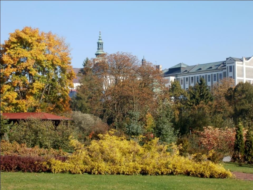 Blick auf angrenzenden Stadtpark und Stadt Braunau Hotel Veba