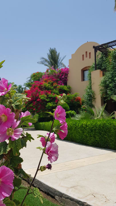 Gartenanlage Steigenberger Coraya Beach - Adults only