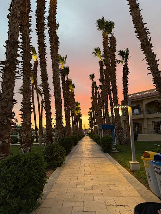 Gastro Beach Albatros Resort