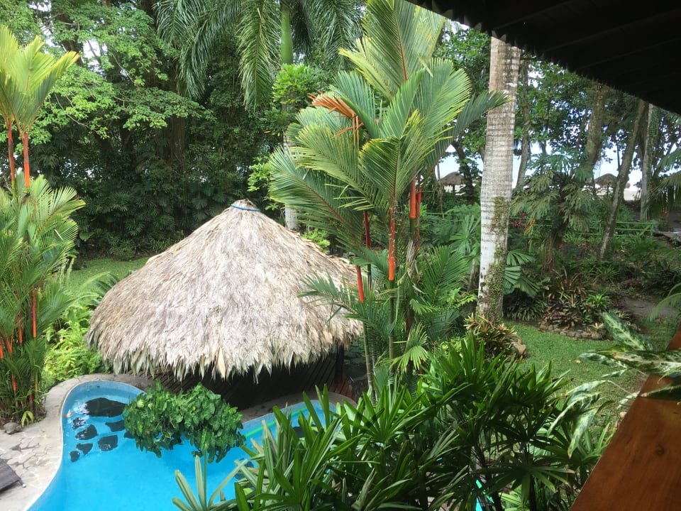 Pool Hotel Banana Azul