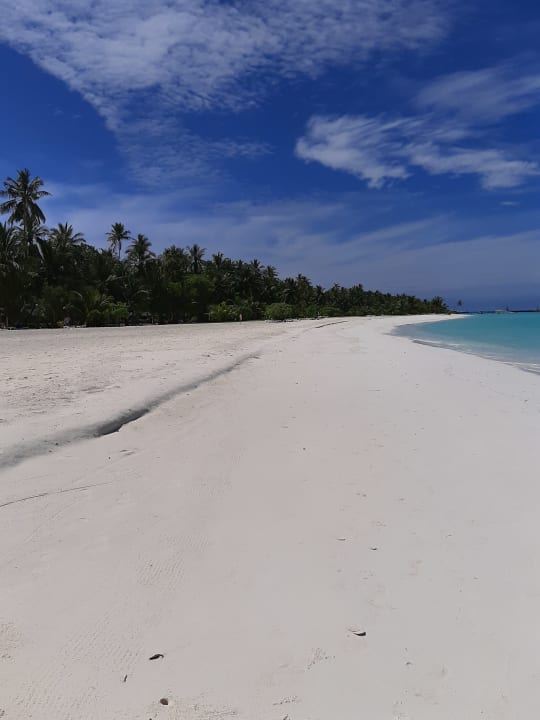 Strand Meeru Maldives Resort Island