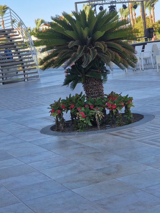 Gartenanlage Pickalbatros Dana Beach Resort - Hurghada