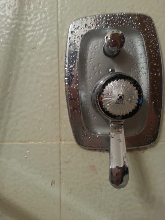 Zimmer Berghotel Tyrol