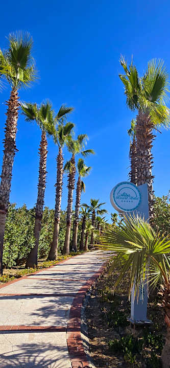 Gartenanlage Alba Resort Hotel