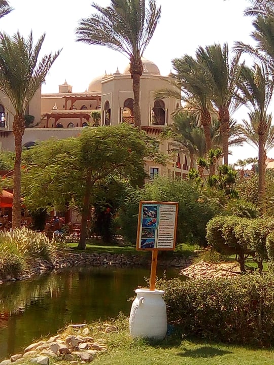 Außenansicht Makadi Palace