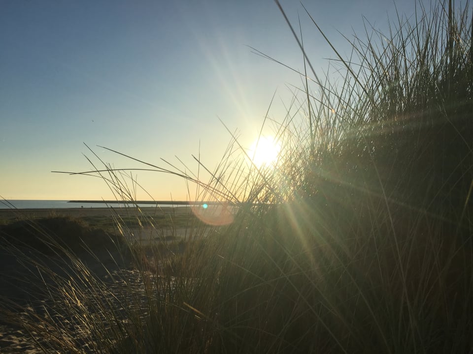 Strand Leonardo Hotel IJmuiden Seaport Beach
