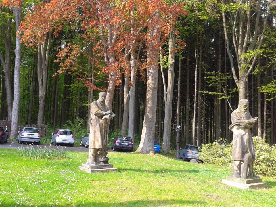 Lesopark, ve kterém se hotel nachází Chateau Monty Spa Resort