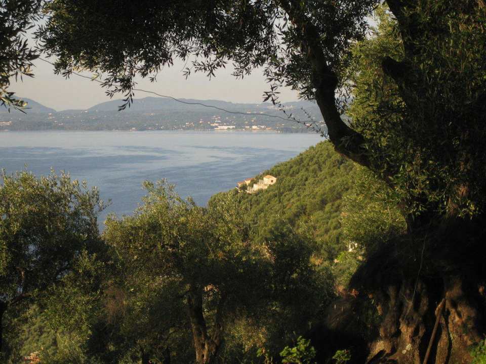 Ausblick von Terrasse Ferienwohnung The Little Farmhouse