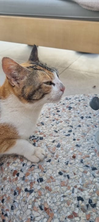 Zimmer Sentido Unique Blue! Resort and Villas