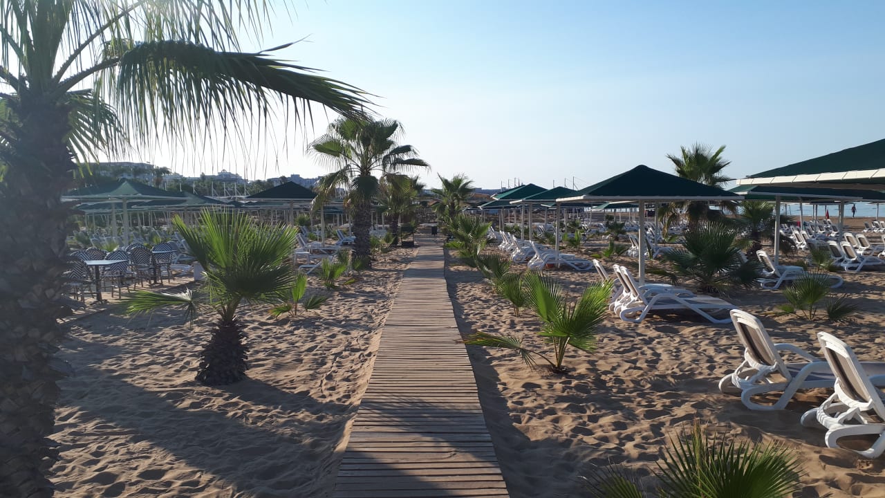 Strand Paloma Oceana