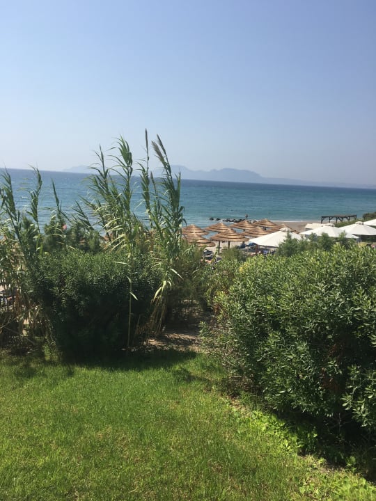 Strand ROBINSON DAIDALOS