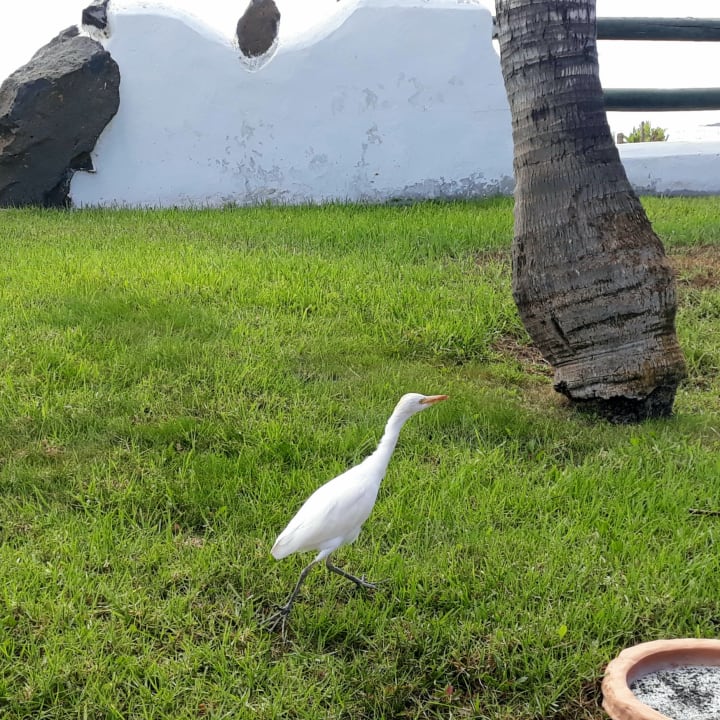 Sonstiges H10 Timanfaya Palace - Adults only