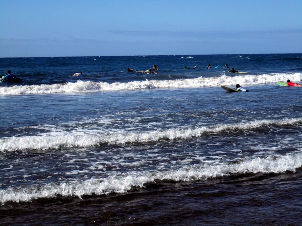 Windsurfer ideal Kn Arenas del Mar Hotel