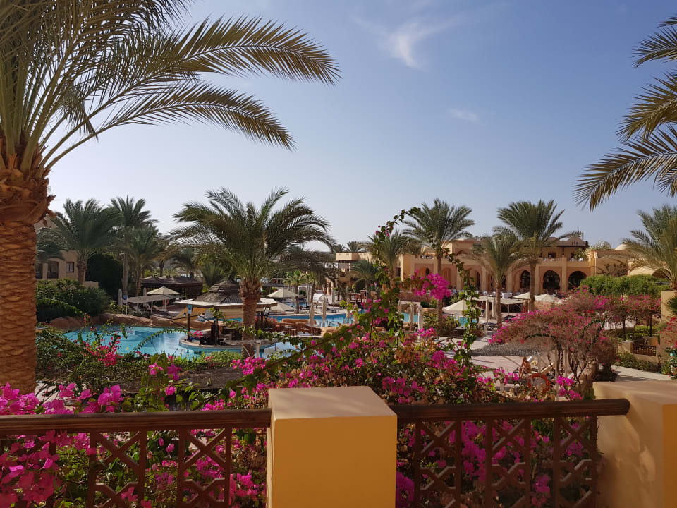 Pool Steigenberger Coraya Beach - Adults only