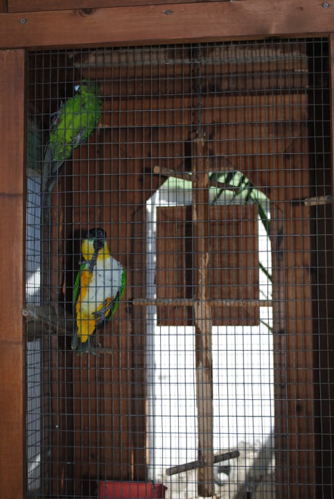 Jedna z wolier Gaia Garden Hotel