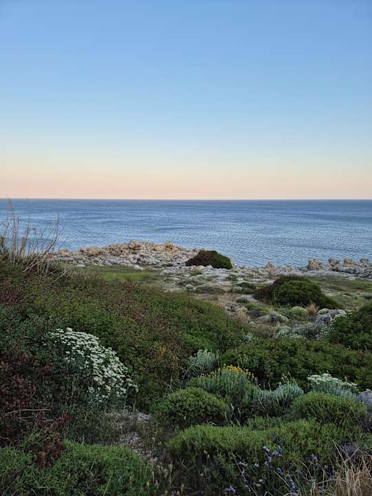 Gartenanlage Hotel Kalithea Horizon Royal