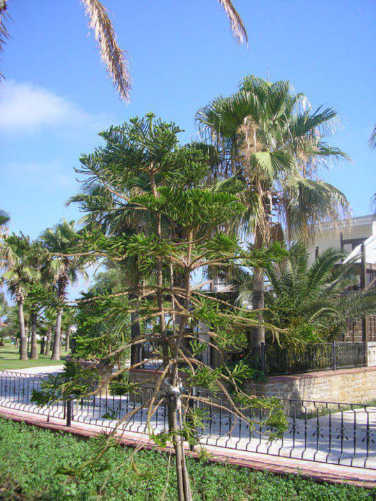 Park Hotel Süral