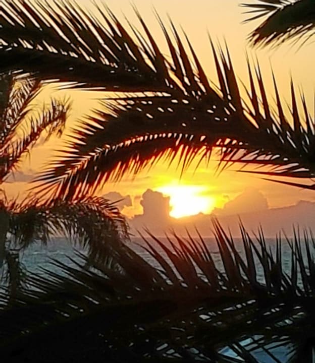 Blick von der Dachterasse Lagos de Fañabé Beach Resort