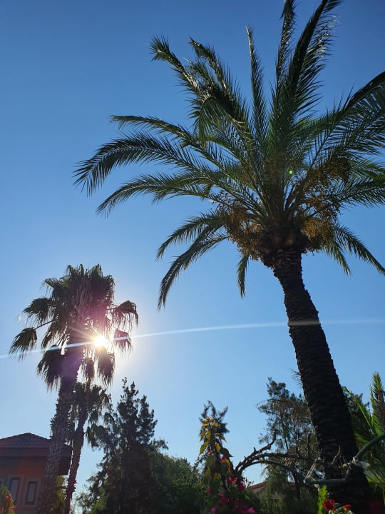 Gartenanlage TUI KIDS CLUB Felicia Village