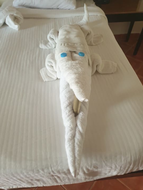 Zimmer Three Corners Sea Beach Resort