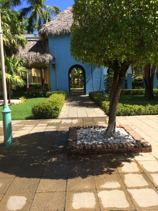 Gartenanlage Iberostar Waves Costa Dorada