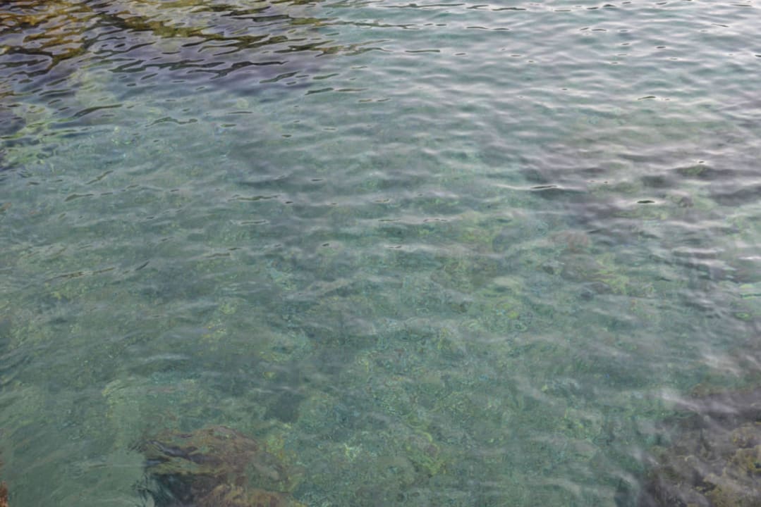 Plaża Hotel Kalithea Horizon Royal