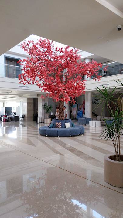 Lobby Amarina Abu Soma Resort & Aquapark