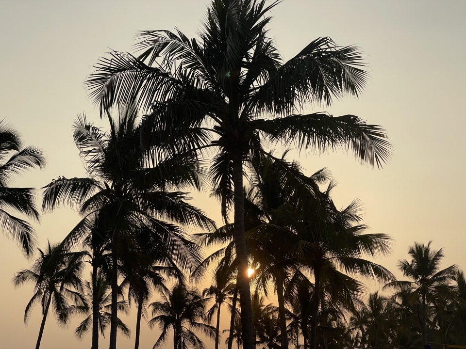 Ausblick Salalah Rotana Resort