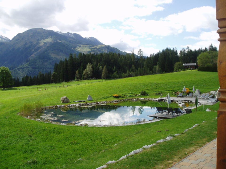 Blick vom Zimmer aus über den Naturteich Gut Sonnberghof
