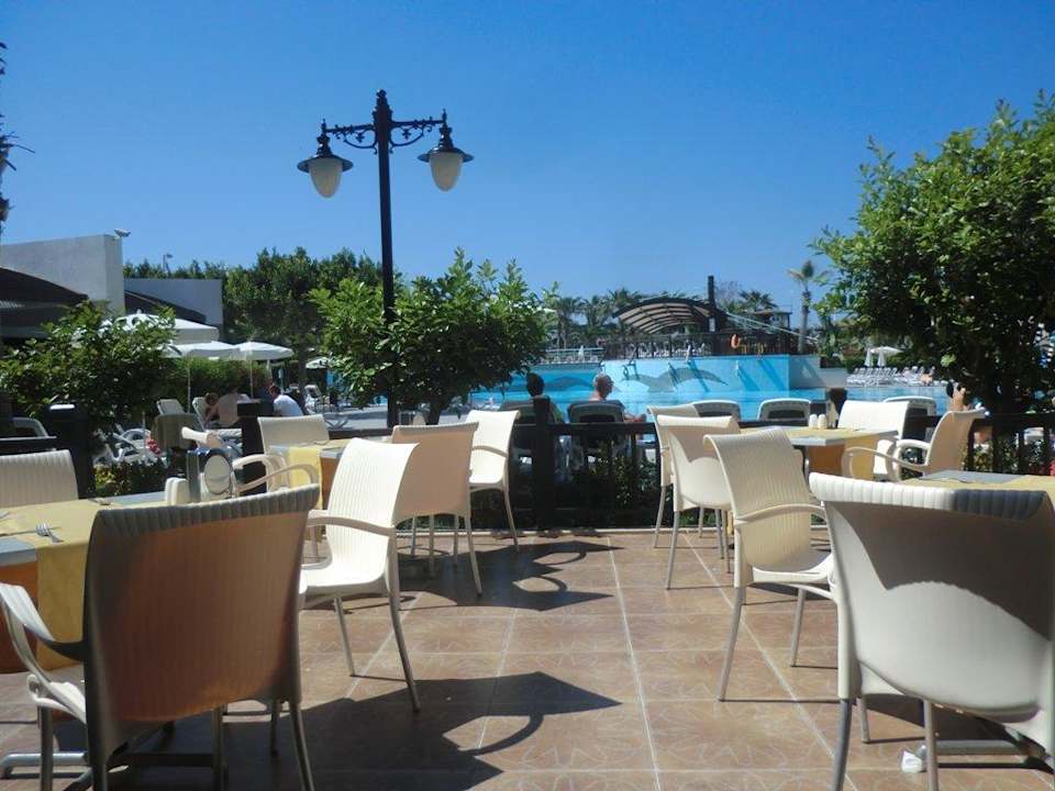 An der Poolbar Aydinbey Kings Palace & Spa