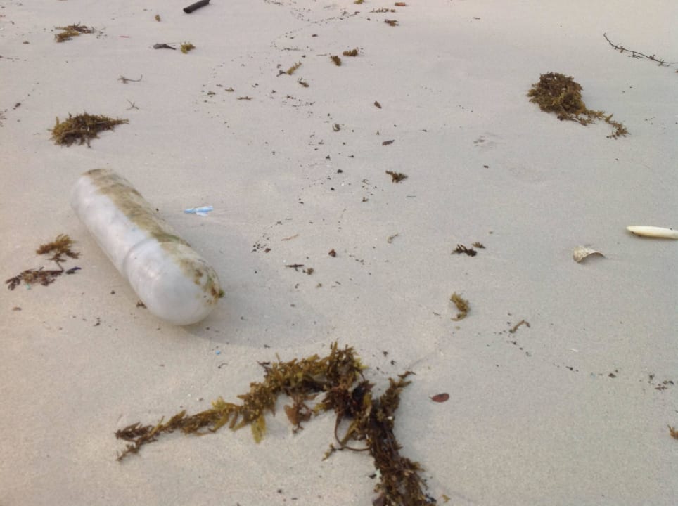 Strand voller Plastikmüll Crystal Bay Yacht Club Beach Resort