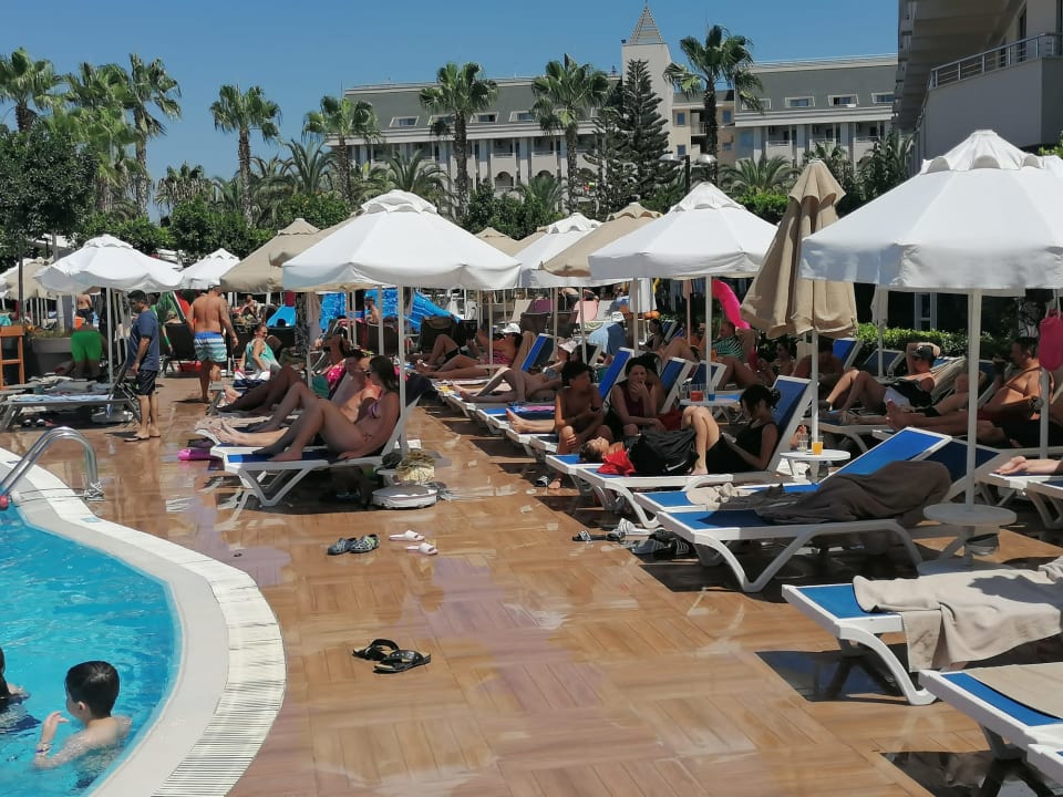 Pool Calimera Hane Garden