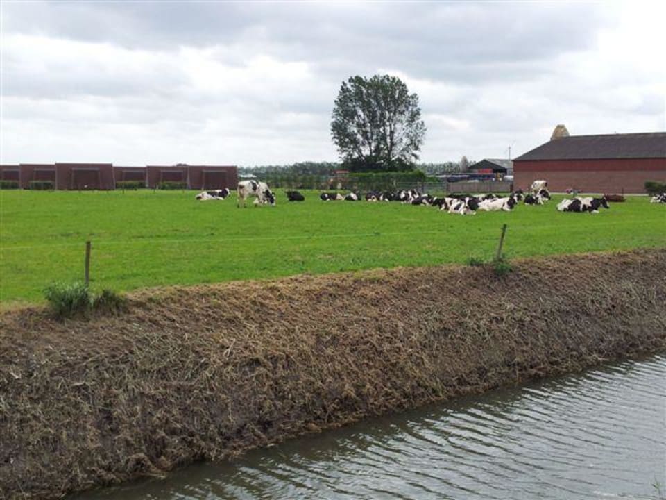Blick von der wenig befahrenen Staße Hotel Restinn Andijk