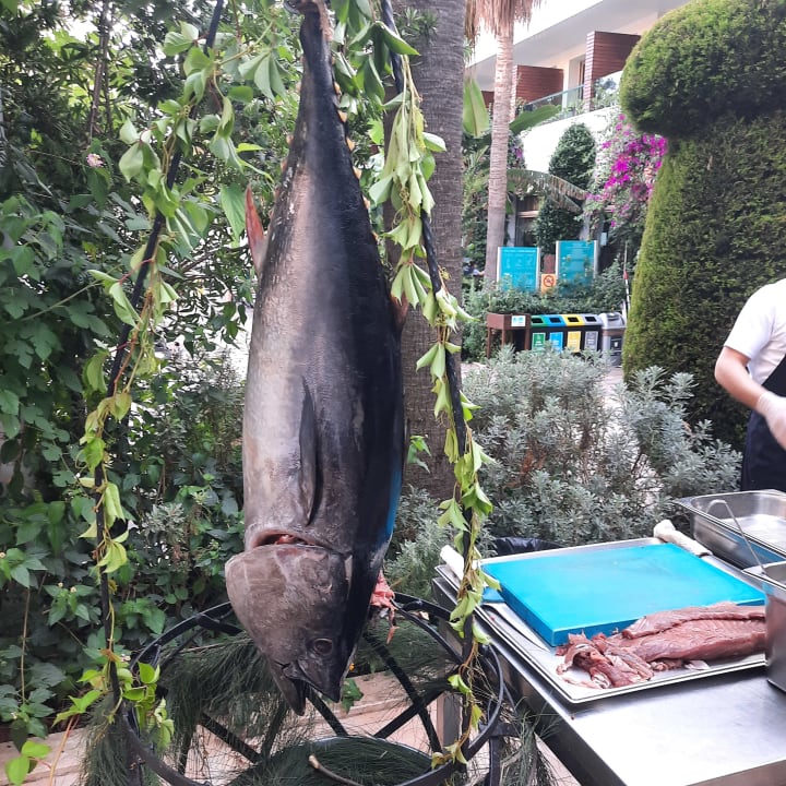 Gastro Port Side Resort Hotel