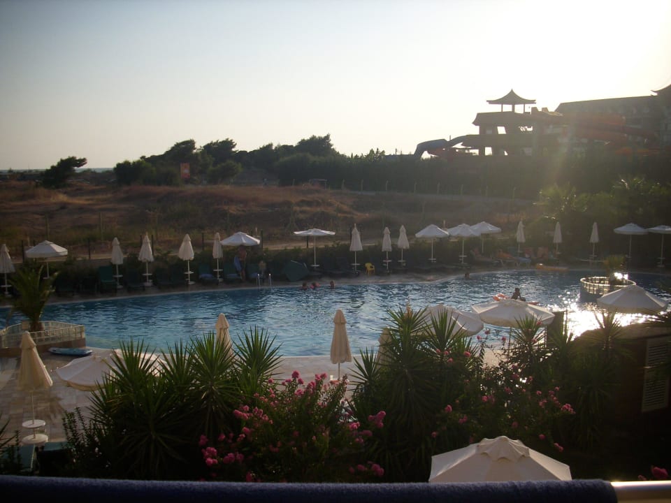 Blick vom Zimmer auf den Pool Calimera Hane Garden