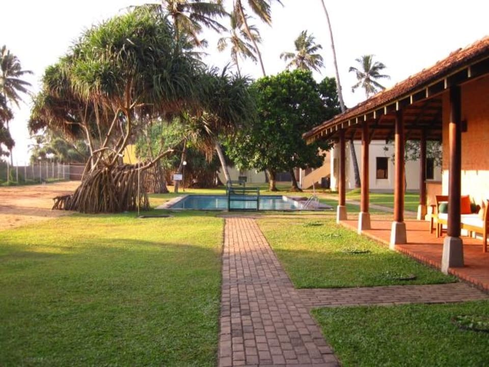 Sportcenter mit Palmen Mermaid Hotel & Club