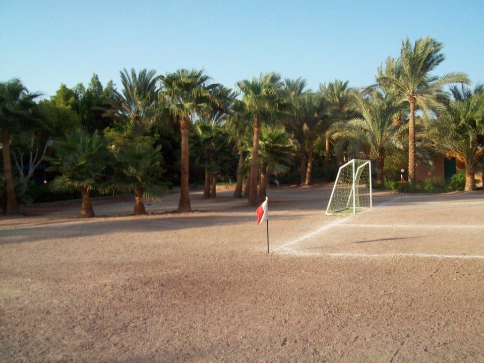 Naja Giftun Azur Resort