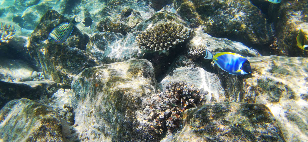 Sport & Freizeit Summer Island Maldives