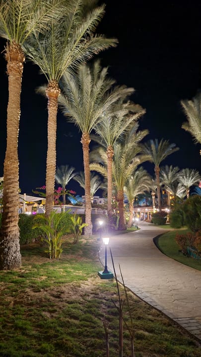 Gartenanlage Steigenberger Coraya Beach - Adults only